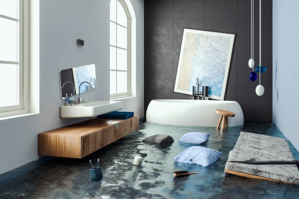 Best Water damage restoration near me  in Nd Lake, WI