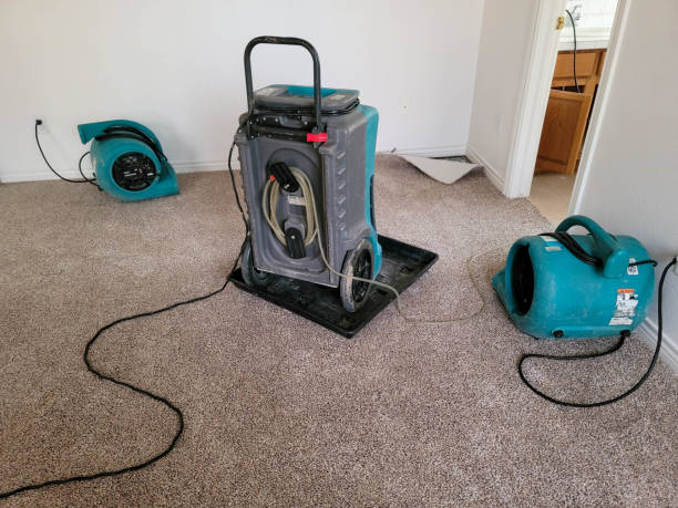 Best Water damage restoration process  in Nd Lake, WI