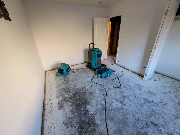 Best Mold removal after water damage  in Nd Lake, WI