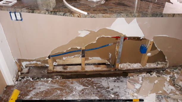 Best Professional water damage repair  in Nd Lake, WI