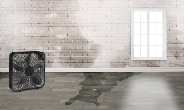 Local water damage restoration in Wind Lake, WI