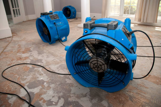 Best Flood restoration services  in Nd Lake, WI
