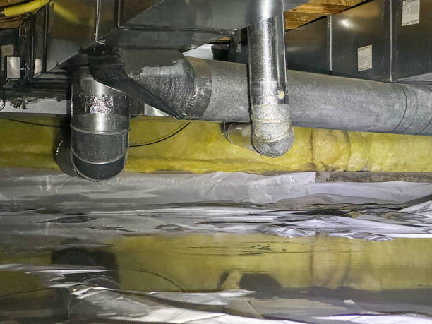Best Carpet water damage restoration  in Nd Lake, WI