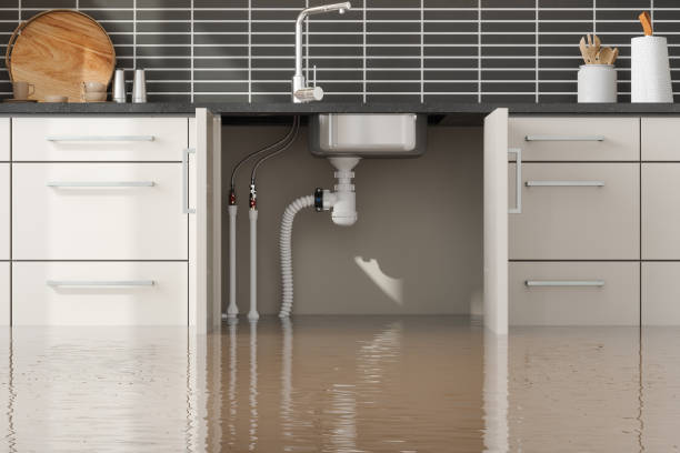 Best Emergency water extraction  in Nd Lake, WI