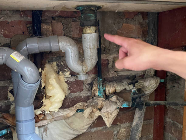 Best Local water damage restoration  in Nd Lake, WI